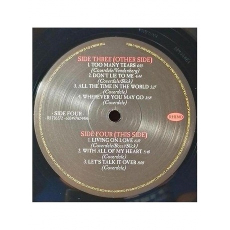 Whitesnake - Into The Light (0603497824496) виниловая пластинка - фото 11