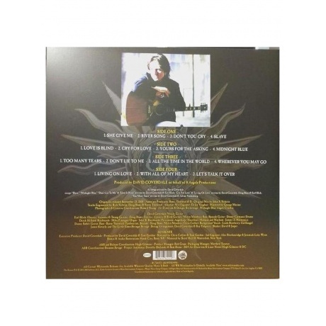 Whitesnake - Into The Light (0603497824496) виниловая пластинка - фото 5