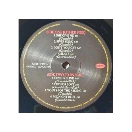 Whitesnake - Into The Light (0603497824496) виниловая пластинка - фото 9