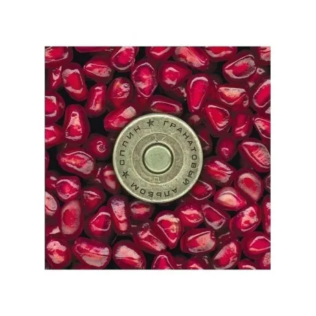 Сплин - Гранатовый альбом (4660275048501) виниловая пластинка