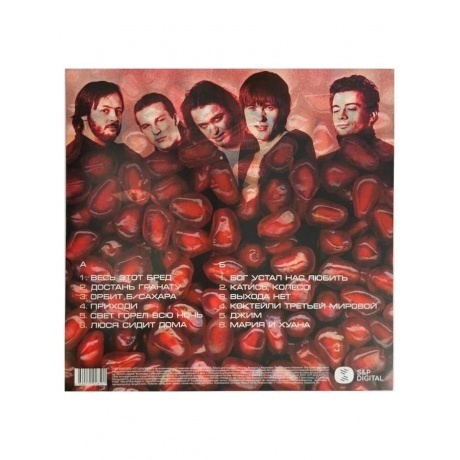 Сплин - Гранатовый альбом (4660275048501) виниловая пластинка - фото 2