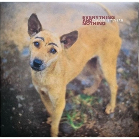 David Sylvian - Everything And Nothing (0602465048575) виниловая...