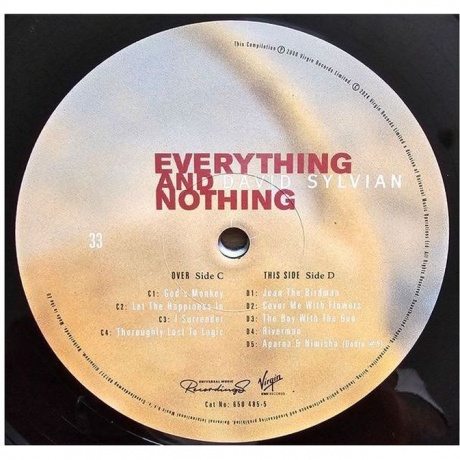 David Sylvian - Everything And Nothing (0602465048575) виниловая пластинка - фото 12