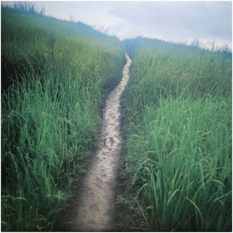 David Sylvian - Everything And Nothing (0602465048575) виниловая пластинка - фото 13