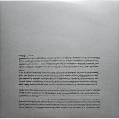 David Sylvian - Everything And Nothing (0602465048575) виниловая пластинка - фото 14