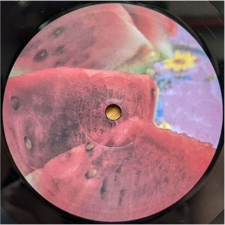 David Sylvian - Everything And Nothing (0602465048575) виниловая пластинка - фото 15