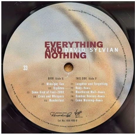 David Sylvian - Everything And Nothing (0602465048575) виниловая пластинка - фото 16