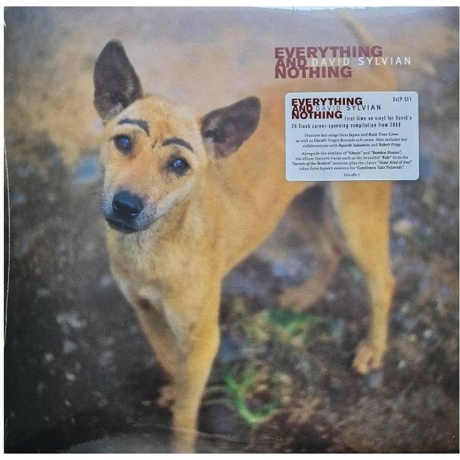 David Sylvian - Everything And Nothing (0602465048575) виниловая пластинка - фото 19