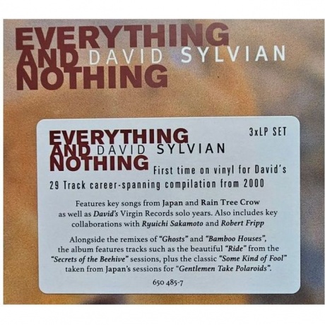 David Sylvian - Everything And Nothing (0602465048575) виниловая пластинка - фото 20