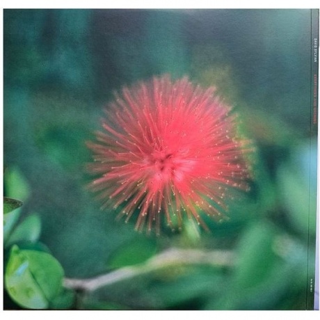 David Sylvian - Everything And Nothing (0602465048575) виниловая пластинка - фото 6