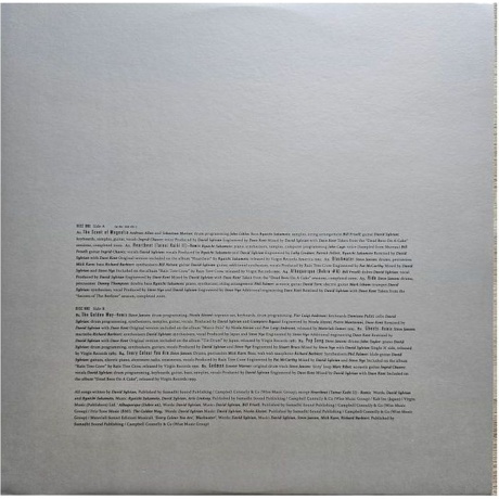 David Sylvian - Everything And Nothing (0602465048575) виниловая пластинка - фото 10