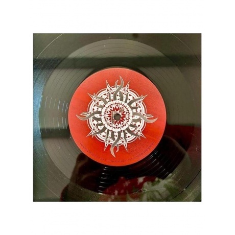 Godsmack - IV (0602465945454) виниловая пластинка - фото 8