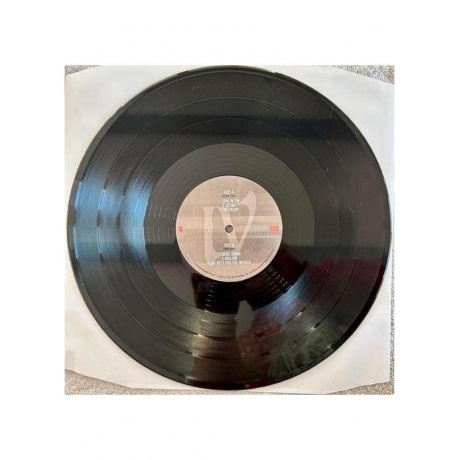 Godsmack - IV (0602465945454) виниловая пластинка - фото 9