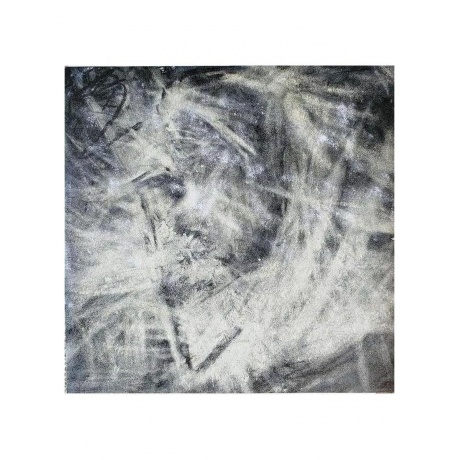 Пластинка виниловая  Squarepusher - Ultravisitor (5056614798586) - фото 9