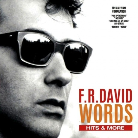 F.R.David - Words – Hits & More (6558400023319) виниловая пласти...
