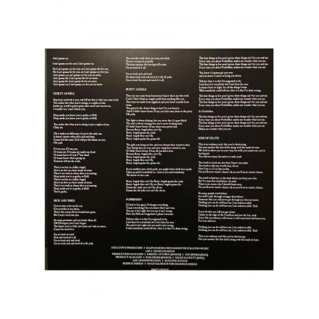 Black Sabbath - Forbidden (Ultra Clear) (4099964117967) виниловая пластинка - фото 5