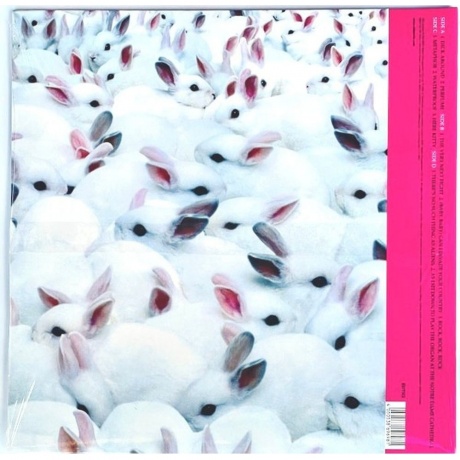 Sparks - Hello Young Lovers (4050538696981) виниловая пластинка - фото 4