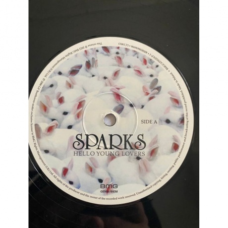 Sparks - Hello Young Lovers (4050538696981) виниловая пластинка - фото 5