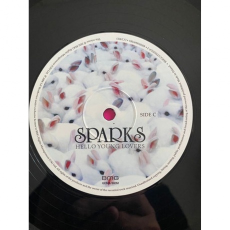 Sparks - Hello Young Lovers (4050538696981) виниловая пластинка - фото 7