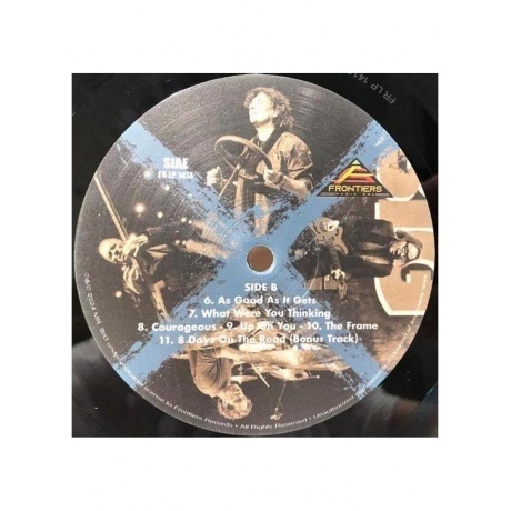 Mr. Big - Ten (8024391141458) виниловая пластинка - фото 6