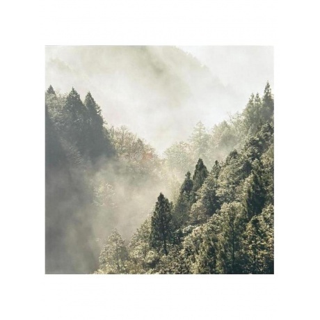 Townsend Devin - PowerNerd (White) (0198028365314) виниловая пластинка - фото 4