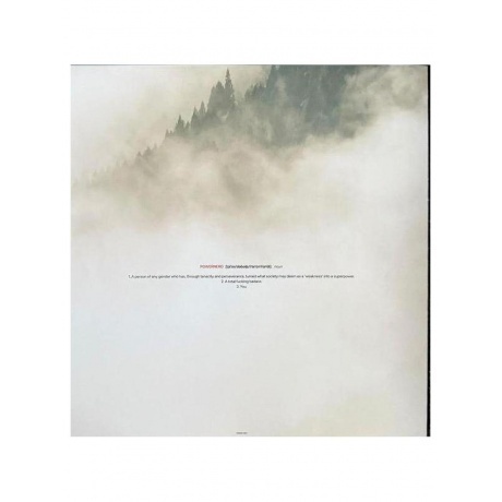 Townsend Devin - PowerNerd (White) (0198028365314) виниловая пластинка - фото 6