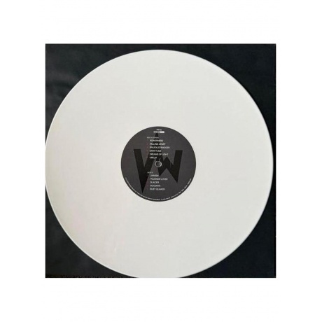 Townsend Devin - PowerNerd (White) (0198028365314) виниловая пластинка - фото 7