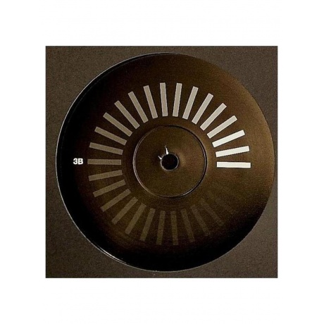 Пластинка виниловая  Orbital - 30 Something (Box Set) (5060555216986) - фото 14