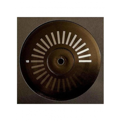 Пластинка виниловая  Orbital - 30 Something (Box Set) (5060555216986) - фото 6