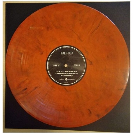 Tankian Serj - Foundations (Voodoo) (8719262037281) виниловая пластинка - фото 4