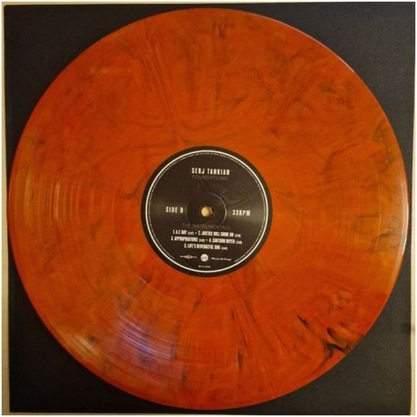 Tankian Serj - Foundations (Voodoo) (8719262037281) виниловая пластинка - фото 5