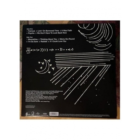 Puddle Of Mudd - Famous (0600753999356) виниловая пластинка - фото 2