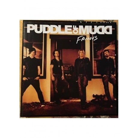 Puddle Of Mudd - Famous (0600753999356) виниловая пластинка - фото 5