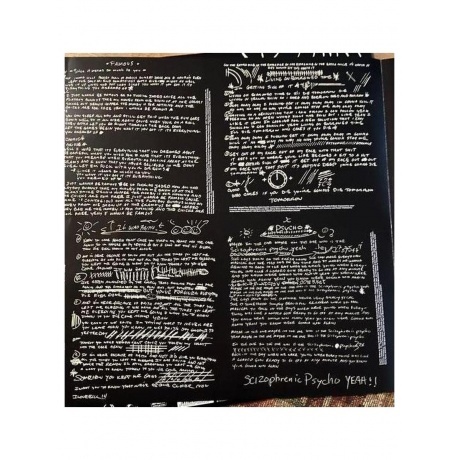 Puddle Of Mudd - Famous (0600753999356) виниловая пластинка - фото 6