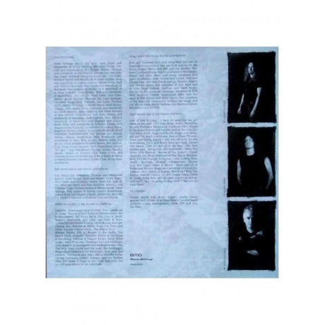 Saxon - Into The Labyrinth (Gold) (8719262031876) виниловая пластинка - фото 8