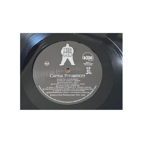 Пластинка виниловая  Big Pun - Capital Punishment (196588103513) - фото 5