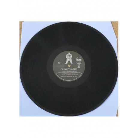 Пластинка виниловая  Big Pun - Capital Punishment (196588103513) - фото 9