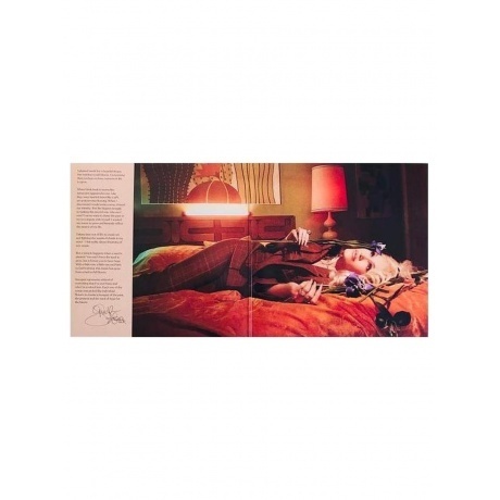 Stefani Gwen - Bouquet (Champagne) (0602475080930) виниловая пластинка - фото 3