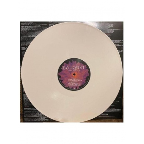 Stefani Gwen - Bouquet (Champagne) (0602475080930) виниловая пластинка - фото 6