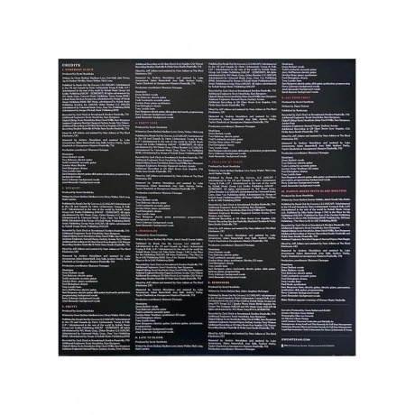 Stefani Gwen - Bouquet (Champagne) (0602475080930) виниловая пластинка - фото 10