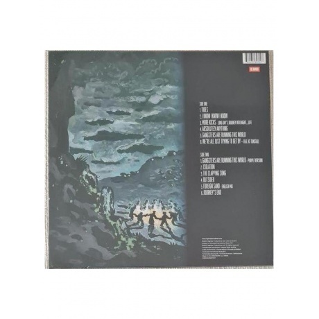 Roger Taylor - Outsider  (0602435807027) виниловая пластинка - фото 2