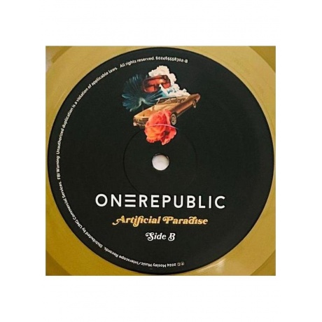 Пластинка виниловая  Onerepublic - Artificial Paradise (Gold) (602465558302) - фото 6