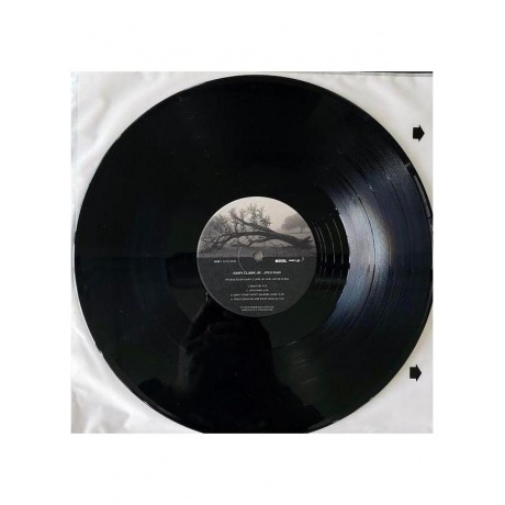 Gary Clark Jr. - Jpeg Raw  (0093624847762) виниловая пластинка - фото 4