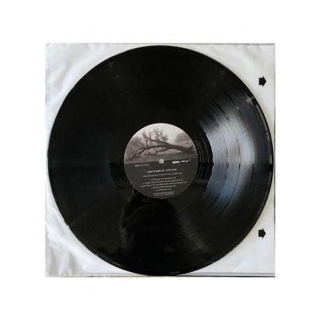 Gary Clark Jr. - Jpeg Raw  (0093624847762) виниловая пластинка - фото 5