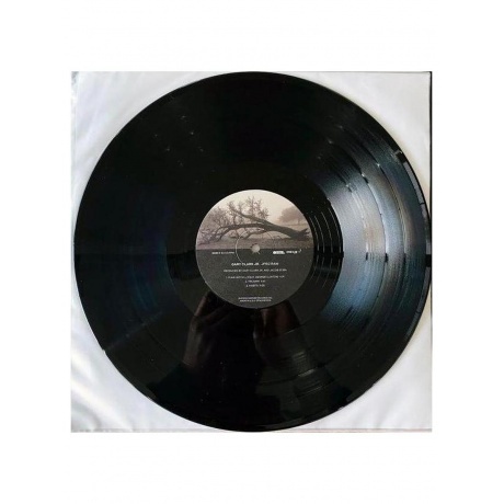 Gary Clark Jr. - Jpeg Raw  (0093624847762) виниловая пластинка - фото 6