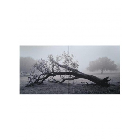 Gary Clark Jr. - Jpeg Raw  (0093624847762) виниловая пластинка - фото 8