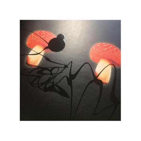 Пластинка виниловая  Агата Кристи - Два Корабля (4640004135436) - фото 6