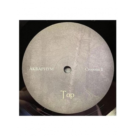 Аквариум - Тор (4620032914203) виниловая пластинка - фото 7