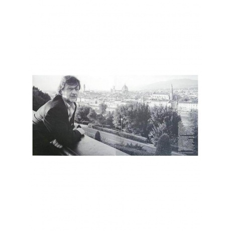 Рыбников Алексей - Музыка Кино (4640004134583) виниловая пластинка - фото 2