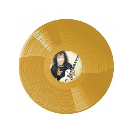 Владимир Кузьмин - Небесное Притяжение (Gold) (+постер) (4680068804572) виниловая пластинка - фото 3